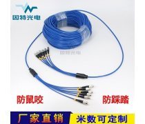 光缆 构建数字世界的隐形动脉